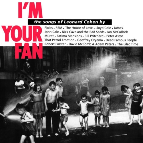 im-your-fan